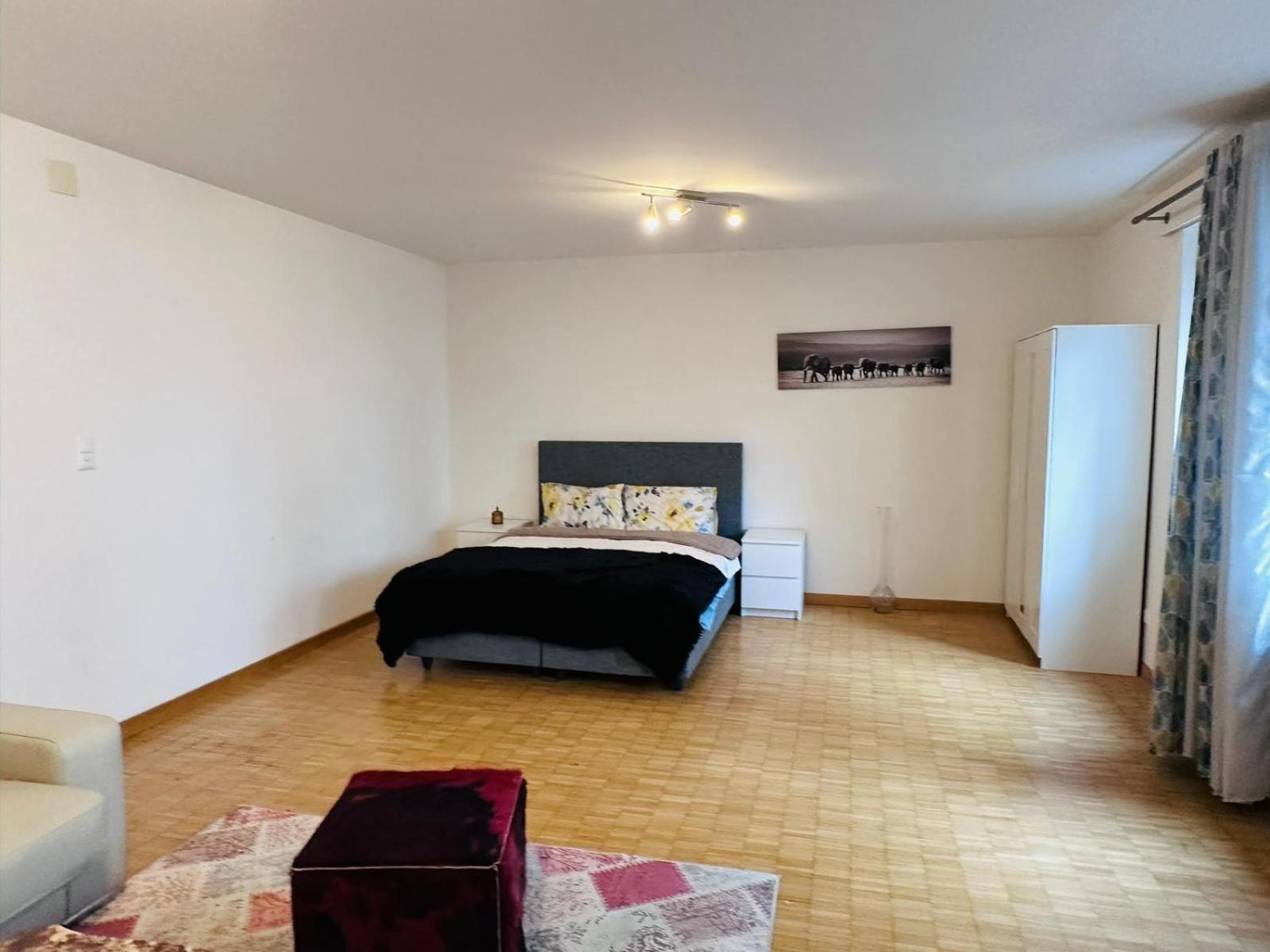 Apt Near Basel Centre And Airport Hotel Ngoại thất bức ảnh